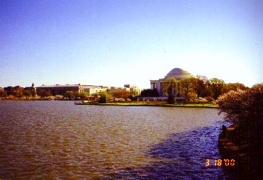 dc15.jpg (16486 bytes)